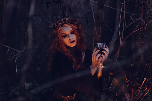 sorcière dans les bois obscurs
